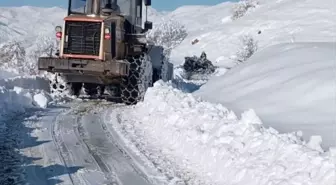 Hakkari ve Muş'ta Kar Nedeniyle Kapanan Yollar Açıldı