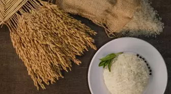 İpsala Pirinci, Avrupa Birliği Coğrafi İşaret Tescili Aldı