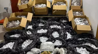 İzmir'de Uyuşturucu Operasyonu: 550 Bin Hap Ele Geçirildi