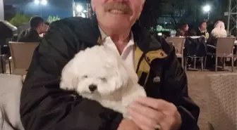 Giresun'da Kaza Sonrası Kavga: Emekli Öğretmen Hayatını Kaybetti