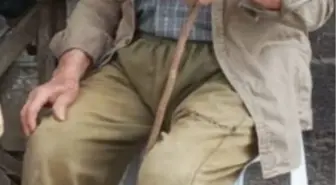 Bolu'da Mantar Toplamak İçin Çıkan 88 Yaşındaki Adamın Cansız Bedeni Bulundu