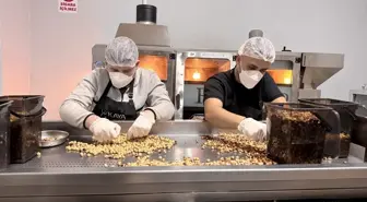 Mimarlığı bıraktı, ata mesleği fındıkçılığa döndü