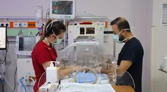 Van'da Prematüre İkiz Bebeklere Şefkat Dolu Bakım