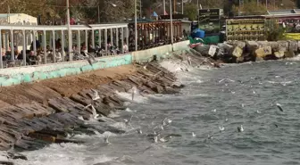 Tekirdağlı Balıkçılar Lodos Nedeniyle Ava Çıkamadı