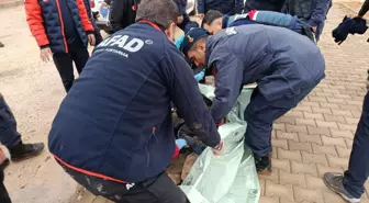 Elazığ'da Alzheimer Hastası Kayıp Şahıs Bulundu