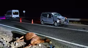 Kars'ta Hayvanlara Çarpan Araçta İki Kişi Ağır Yaralandı