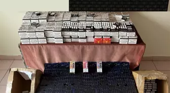 Cide'de Tütün Kaçakçılığı Operasyonu: 61 Bin Makaron Ele Geçirildi