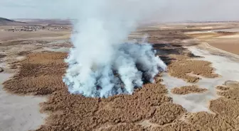 Konya'da Kuş Cenneti Olan Gökgöl'deki Sazlıklar Yangınlarla Kavruluyor