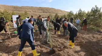 ÖSYM 51. Yıl Dönümünde Hatıra Ormanı'na 250 Fidan Dikti