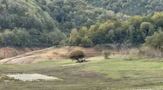 Yalova Gökçe Barajı'ndaki Su Seviyesi Yüzde 10'a Düştü