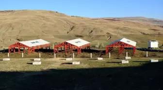 Ağrı'da Çiftçilere Modern Hayvancılık İçin Altyapı Yatırımı