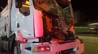 Kamyon Sürücüsü Kazada Hayatını Kaybetti