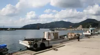 Japonya'da Liman Yakınında Yangın: 170'den Fazla Bina Hasar Gördü