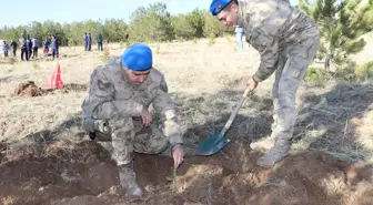 Kırşehir'de jandarma 700 fidanı toprakla buluşturdu