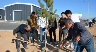 NEÜ tarafından fidan dikimi yapıldı