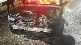 Sinop Belediye Başkanı'nın Makam Aracı Domuz Sürüsüne Çarptı