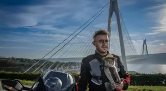 Motosikletli Kedi Gofret'in İstanbul Macerası