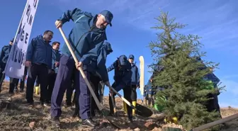 PTT AŞ, 185. Yıl Dönümünde 4 Bin 185 Fidan Dikti