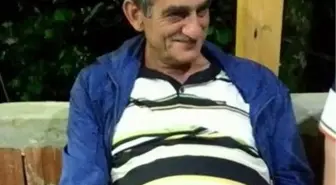 Çayeli'nde Ahşap Yapının Devrilmesi Sonucu İki Kişi Hayatını Kaybetti