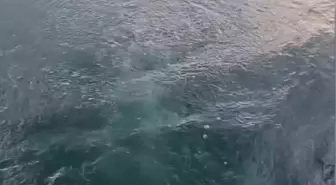 Sapanca Gölü'ndeki Gaz Çıkışları Doğal, Büyük Deprem Beklenmiyor