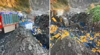 Sınır kapısında zirai ilaç kalıntısı bulunan 6 ton mandalina imha edildi