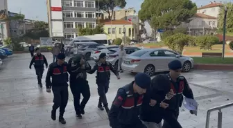 Zeytin Hırsızlığı: 2 Tutuklama