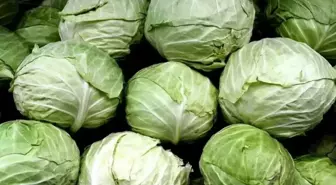 Darende'nin İlaçsız Göyyar Lahanası, Gastromasa İstanbul'da Tanıtıldı