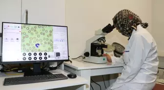 Kan hücrelerini yapay zekayla tanıyan cihaz hekimlere kolay erişim sağlıyor