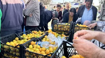 Samandağ'da Üreticiler, 2 Liraya Düşen Mandalinayı Ücretsiz Dağıtıyor