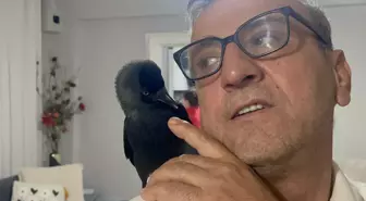 Düzcede Kargaya Aile Sıcacıklığı: Kemal Amca ve Kömür'ün Dostluğu