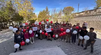 Nevşehir'de Dünya Çocuk Hakları Günü Etkinliği Düzenlendi