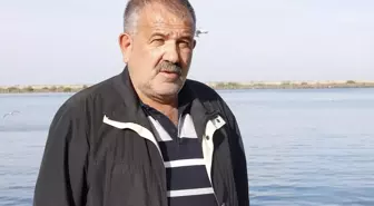 Karadeniz'de Hamsi Göçü Erken Tamamlandı, Fiyatlar Düşük