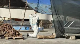 Bodrum'da Yat Bakım Sezonu Hızla Başladı