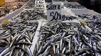 Trabzon'da Hamsi Sezonu Başladı, Fiyatlar Düşmeye Devam Ediyor