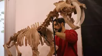 Kayseri'de 7,5 Milyon Yıllık Fosiller 3D Yazıcı ile Yeniden Canlandırılıyor