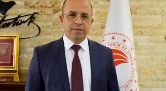 Antalya'da Zeytin Üretimi ve Zeytinyağı Kalite Yarışması Düzenlenecek