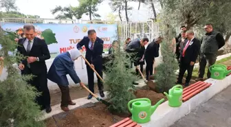 Muğla'da Öğretmenler Günü'nde 16 Bin 453 Fidan Dikildi