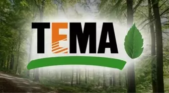 TEMA Vakfı ne iş yapar? TEMA Vakfı ne zaman kuruldu?