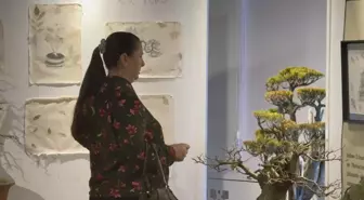 Ressam Sevgi Atamış'ın 'Yalova'nın İzinde' Sergisi Sanatseverlerle Buluştu