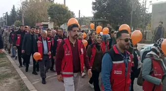 Adıyaman'da Kadına Yönelik Şiddete Karşı Yürüyüş Düzenlendi