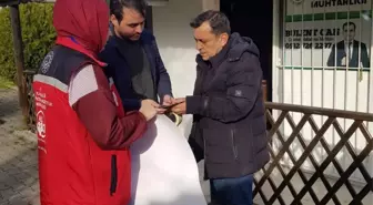 Bolu'da Kadına Yönelik Şiddetle Mücadele Etkinlikleri ve Tarım Projesi Toplantısı
