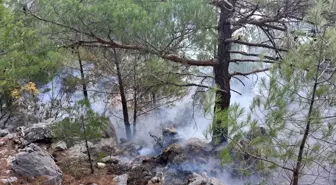 Mersin'de Yıldırım Düşmesi Sonucu Orman Yangını Söndürüldü