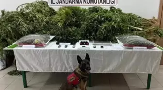 Avukat Yusuf K. Beraat Etti, Çiftlik Çalışanlarına Hapis Cezası