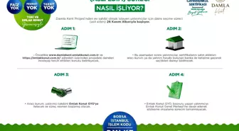 Yatırımcılar 26 Kasım 2025'te Daire Seçimi Yapabilecek