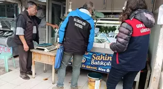 Gelibolu'da Balık Satışı Denetimleri Gerçekleştirildi