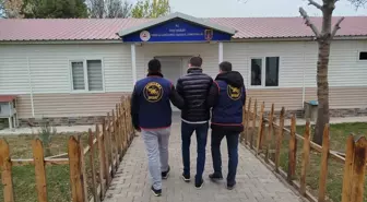 Muş'ta Aranan Hükümlü JASAT Ekiplerince Yakalandı