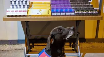 Kayseri'de Tırda 750 Paket Kaçak Sigara Ele Geçirildi