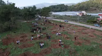 Kumluca'da Öğrencilerden Fidan Dikimi Etkinliği