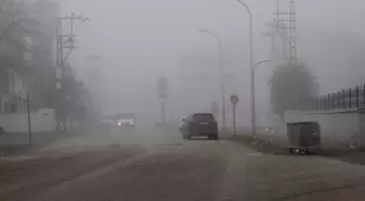 Muş'ta Sis Etkili, Görüş Mesafesi Azaldı