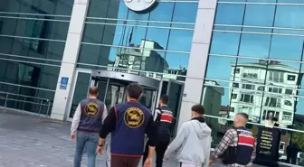 Ordu'da Jandarma Operasyonu: 46 Şüpheli Yakalandı, 17'si Tutuklandı